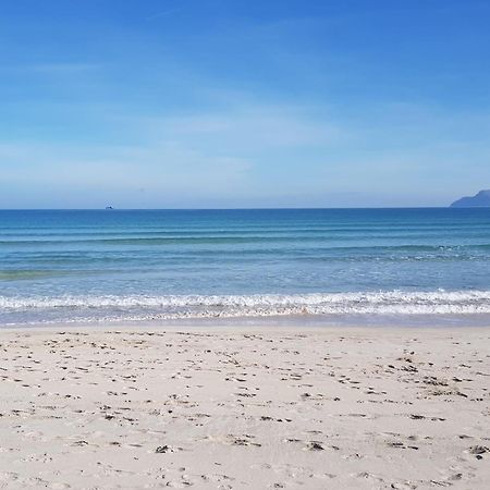 Ideal Property Mallorca - Sa Vinya Vella Alcudia  Ngoại thất bức ảnh