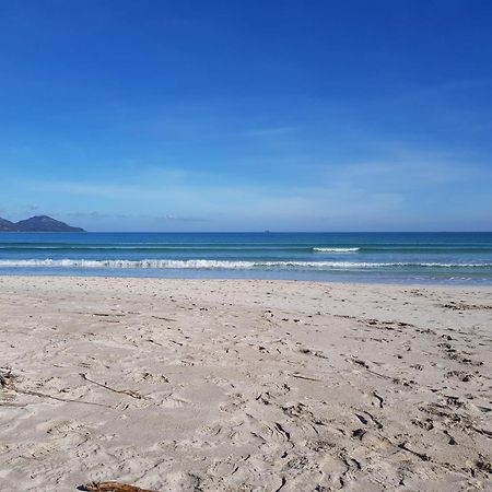 Ideal Property Mallorca - Sa Vinya Vella Alcudia  Ngoại thất bức ảnh