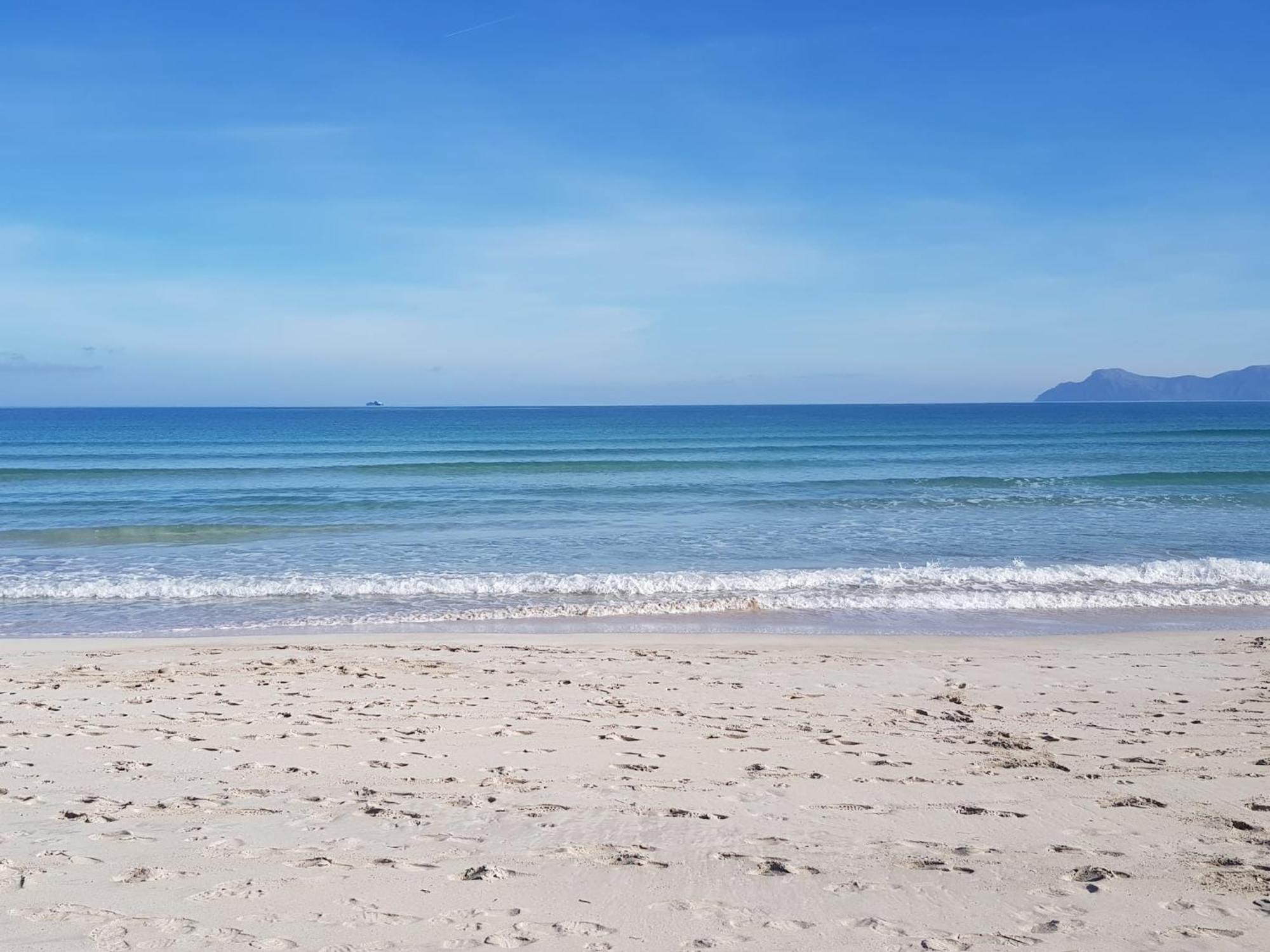 Ideal Property Mallorca - Sa Vinya Vella Alcudia  Ngoại thất bức ảnh