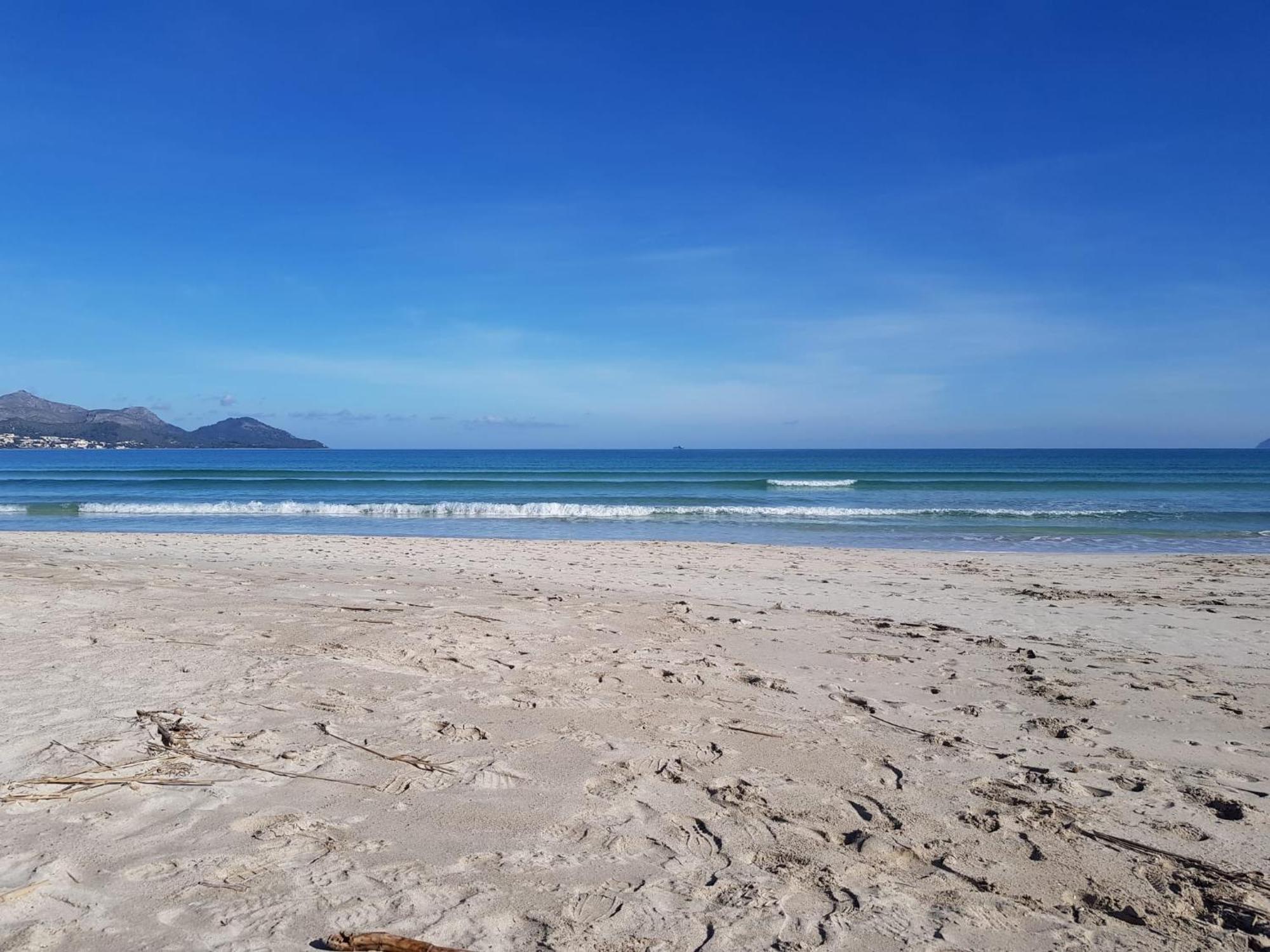 Ideal Property Mallorca - Sa Vinya Vella Alcudia  Ngoại thất bức ảnh